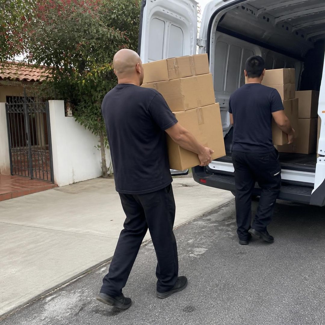 Two movers carrying boxes into a Cargo Van Logistics moving van